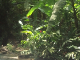 DSC04402