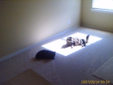 05-14-2007: Look who made nice