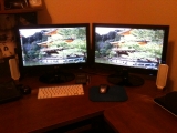 3-25-2011: New monitors for the house