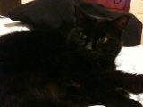 4-3-2011: Lazy day
