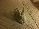 5-17-2011: Look, a bunny on our bed