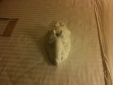 5-20-2011: Days at sea bring towel animals