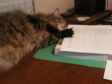 6-24-2011: Helping me grade papers