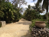 2-8-2012: Cayman Botanical Gardens