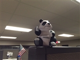 12-19-2014: Yay Panda!