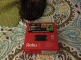 1-27-2014: New Roku!