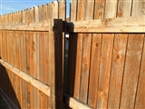 7-11-2014: Gotta fix the fence