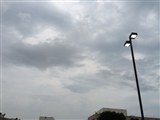 7-23-2014: Rain already!