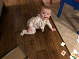 1-4-2019: Someone started crawling today