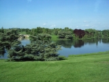DSC00010