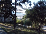 DSC01788