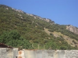 DSC02475