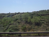 DSC01613